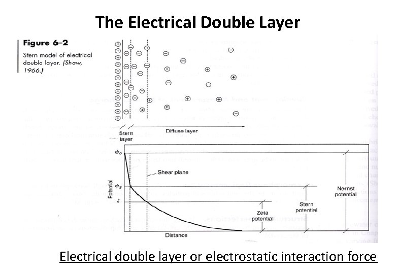 The Electrical Double Layer Electrical double layer or electrostatic interaction force 