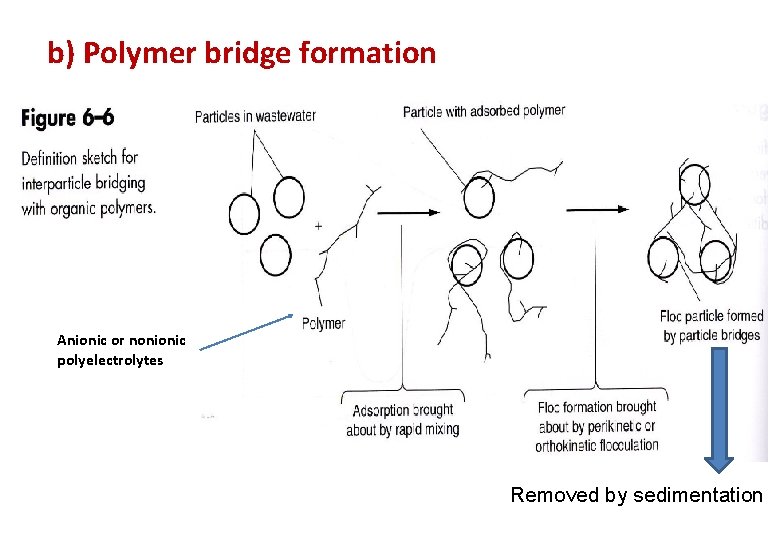 b) Polymer bridge formation Anionic or nonionic polyelectrolytes Removed by sedimentation 
