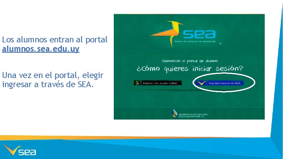 Los alumnos entran al portal alumnos. sea. edu. uy Una vez en el portal,