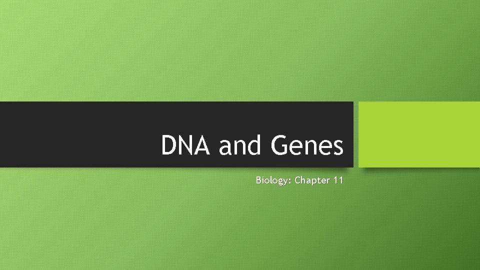 DNA and Genes Biology: Chapter 11 