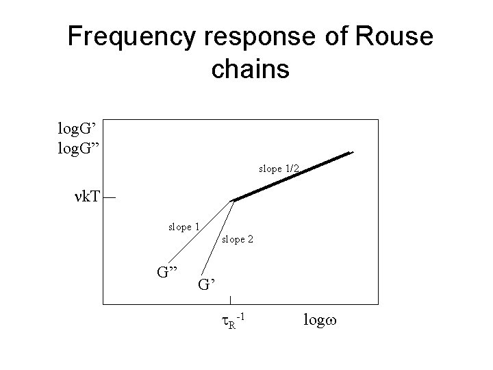 Frequency response of Rouse chains log. G’ log. G” slope 1/2 k. T slope