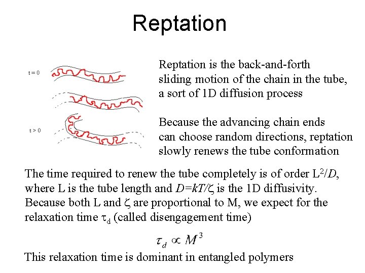 Reptation is the back-and-forth sliding motion of the chain in the tube, a sort