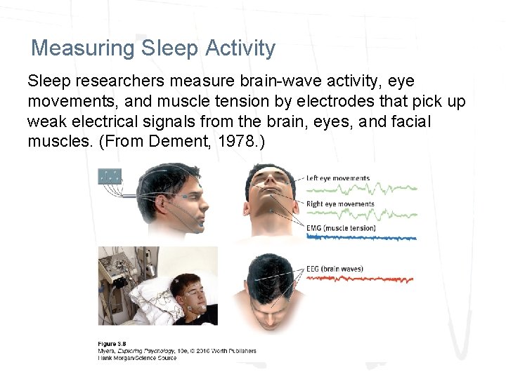 Measuring Sleep Activity Sleep researchers measure brain-wave activity, eye movements, and muscle tension by Measuring Sleep Activity Sleep researchers measure brain-wave activity, eye movements, and muscle tension by