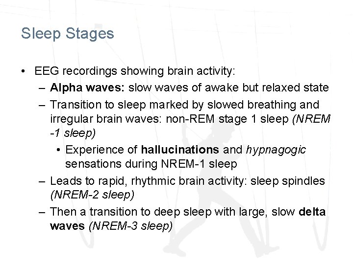 Sleep Stages • EEG recordings showing brain activity: – Alpha waves: slow waves of Sleep Stages • EEG recordings showing brain activity: – Alpha waves: slow waves of