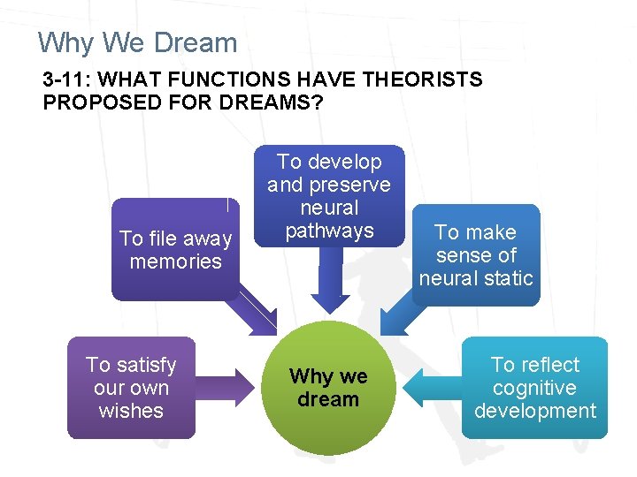 Why We Dream 3 -11: WHAT FUNCTIONS HAVE THEORISTS PROPOSED FOR DREAMS? To file Why We Dream 3 -11: WHAT FUNCTIONS HAVE THEORISTS PROPOSED FOR DREAMS? To file