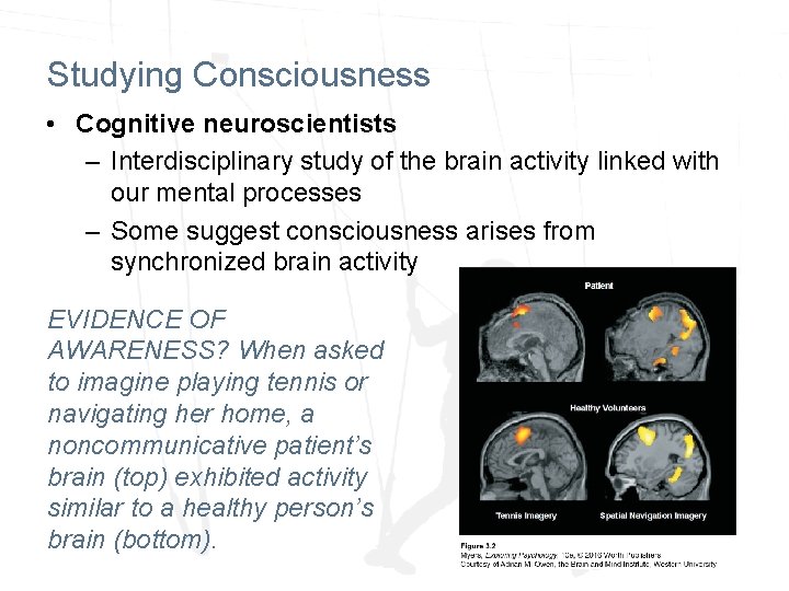 Studying Consciousness • Cognitive neuroscientists – Interdisciplinary study of the brain activity linked with Studying Consciousness • Cognitive neuroscientists – Interdisciplinary study of the brain activity linked with