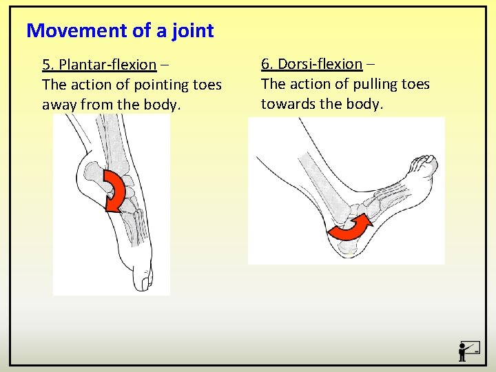 Movement of a joint 5. Plantar-flexion – The action of pointing toes away from