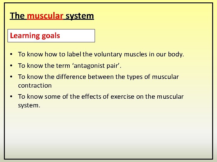 The muscular system Learning goals • To know how to label the voluntary muscles