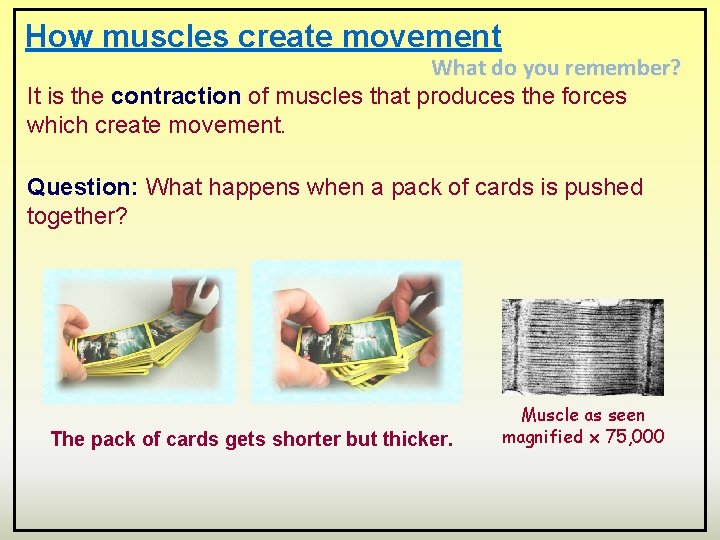 How muscles create movement What do you remember? It is the contraction of muscles