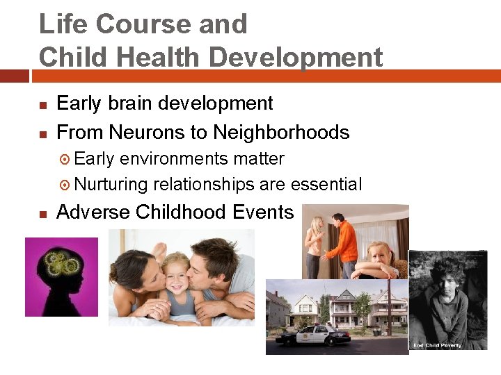 Life Course and Child Health Development n n Early brain development From Neurons to