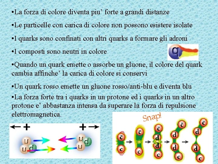  • La forza di colore diventa piu’ forte a grandi distanze • Le