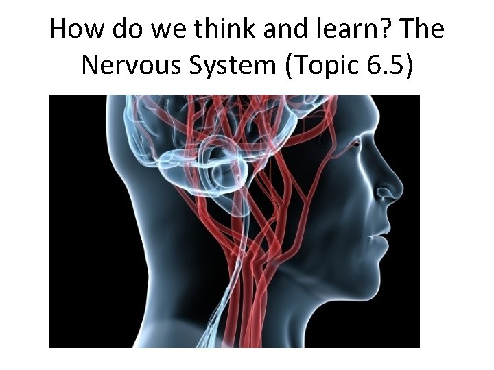 How do we think and learn? The Nervous System (Topic 6. 5) 