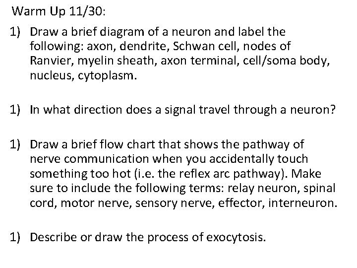 Warm Up 11/30: 1) Draw a brief diagram of a neuron and label the