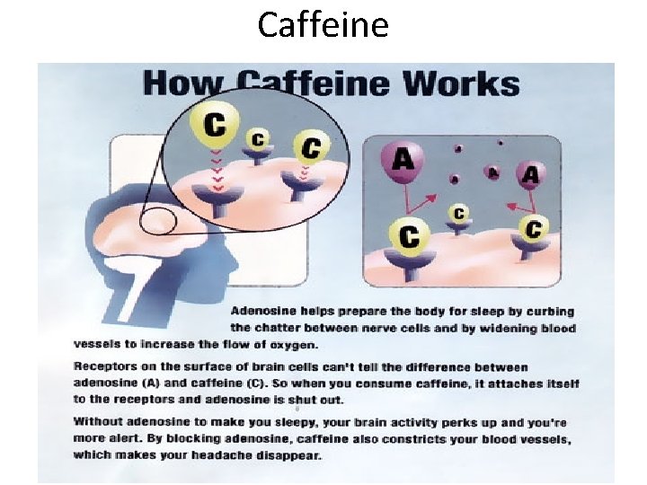 Caffeine 