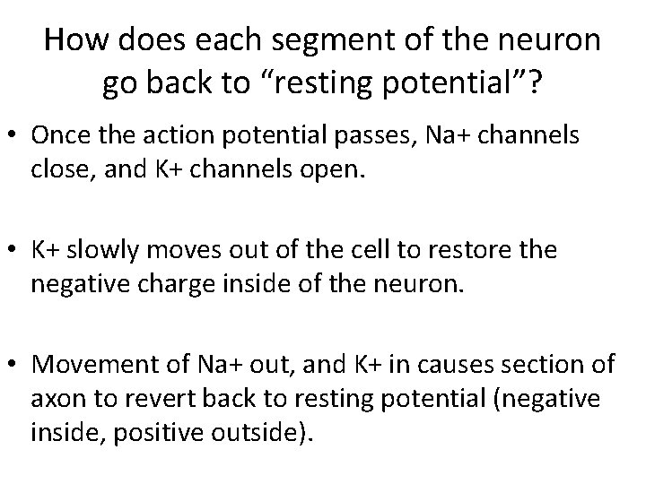 How does each segment of the neuron go back to “resting potential”? • Once