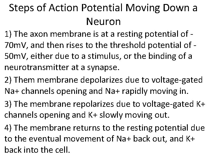 Steps of Action Potential Moving Down a Neuron 1) The axon membrane is at