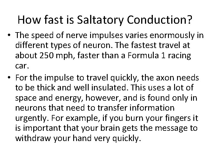 How fast is Saltatory Conduction? • The speed of nerve impulses varies enormously in