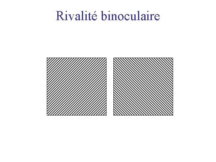 Rivalité binoculaire 