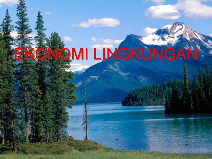 EKONOMI LINGKUNGAN EKONOMI LINGKUNGAN