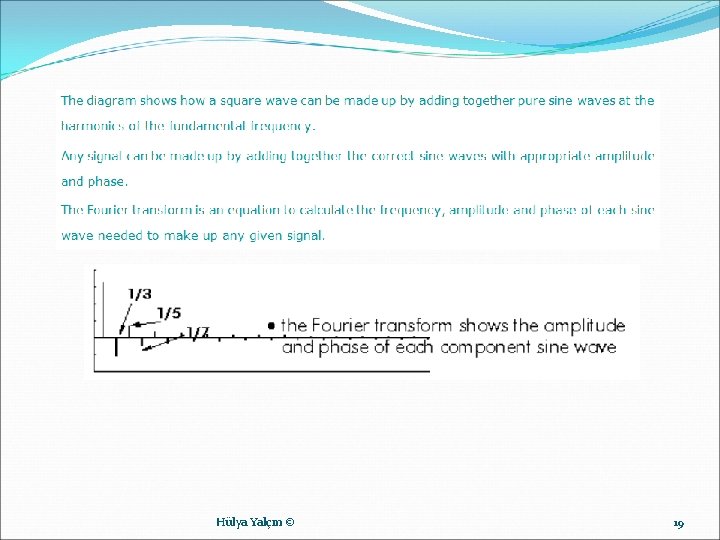 Hülya Yalçın © 19 