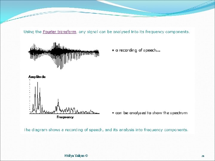 Hülya Yalçın © 21 