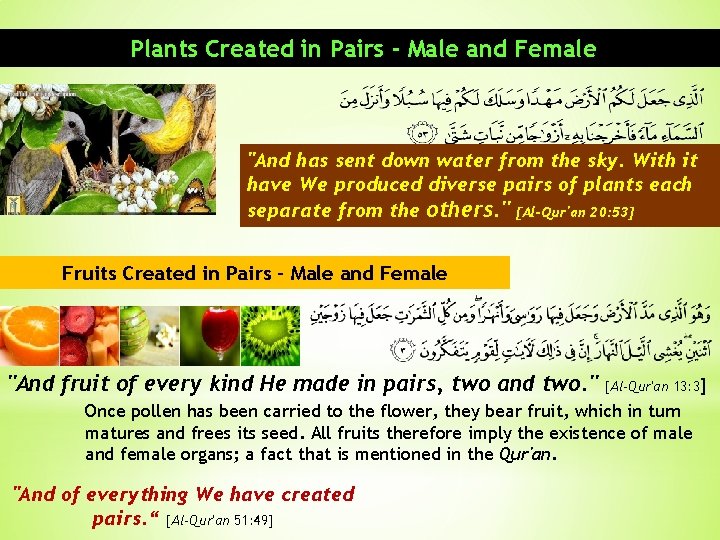 Plants Created in Pairs - Male and Female "And has sent down water from