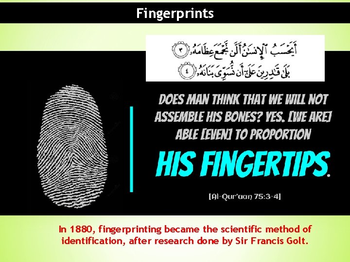 Fingerprints "Does man think that We cannot assemble his bones? Nay, We are able