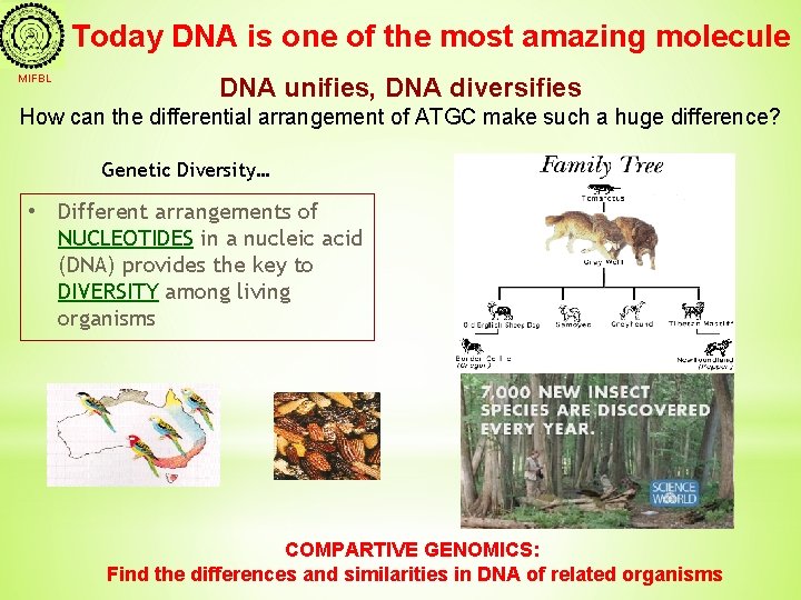 Today DNA is one of the most amazing molecule MIFBL DNA unifies, DNA diversifies