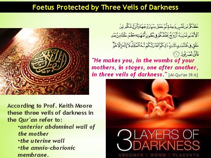 Foetus Protected by Three Veils of Darkness "He makes you, in the wombs of