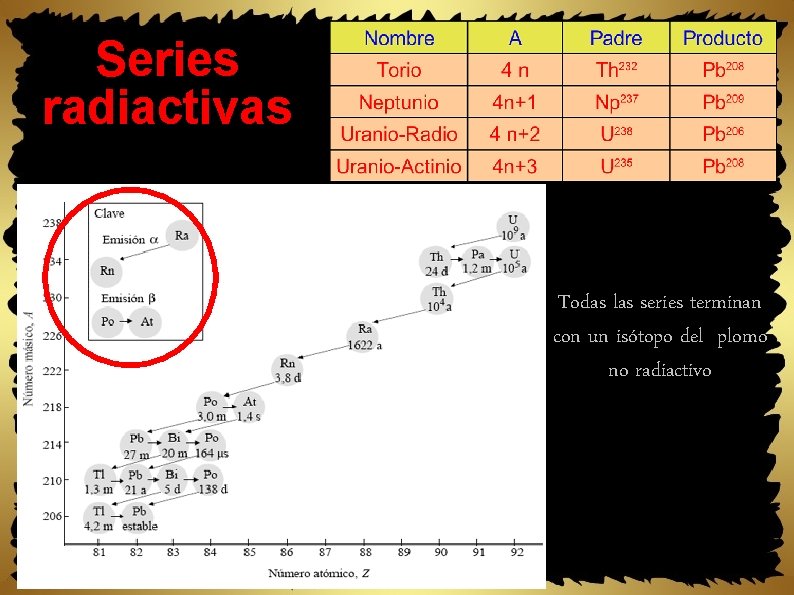 Series radiactivas Todas las series terminan con un isótopo del plomo no radiactivo 