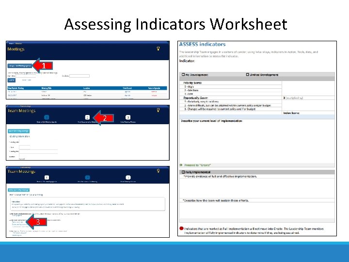 Assessing Indicators Worksheet 1 2 3 