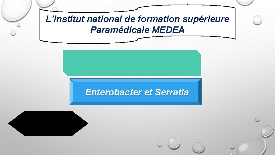 L’institut national de formation supérieure Paramédicale MEDEA Enterobacter et Serratia 