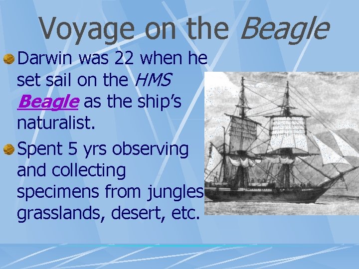 Voyage on the Beagle Darwin was 22 when he set sail on the HMS