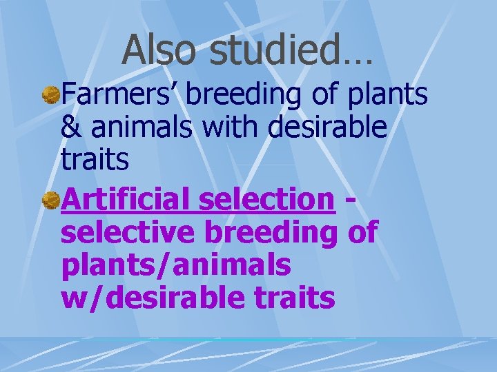Also studied… Farmers’ breeding of plants & animals with desirable traits Artificial selection selective