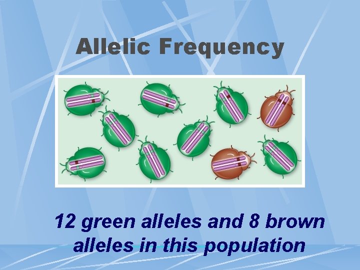 Allelic Frequency 12 green alleles and 8 brown alleles in this population 