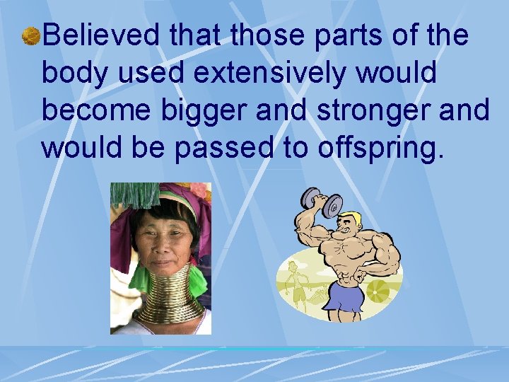 Believed that those parts of the body used extensively would become bigger and stronger