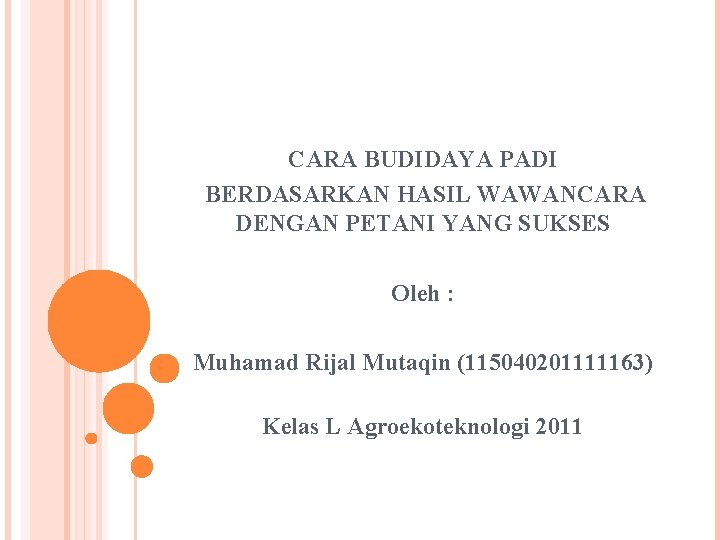CARA BUDIDAYA PADI BERDASARKAN HASIL WAWANCARA DENGAN PETANI YANG SUKSES Oleh : Muhamad Rijal