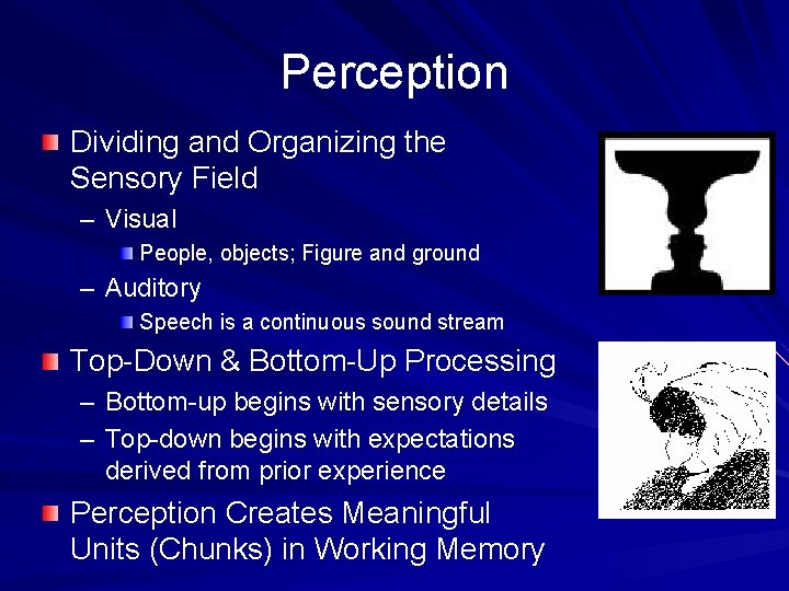 Perception Dividing and Organizing the Sensory Field – Visual People, objects; Figure and ground Perception Dividing and Organizing the Sensory Field – Visual People, objects; Figure and ground