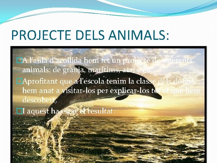 PROJECTE DELS ANIMALS: �A l’aula d’acollida hem fet un projecte de diferents animals: de