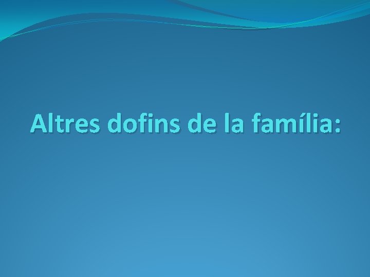 Altres dofins de la família: 