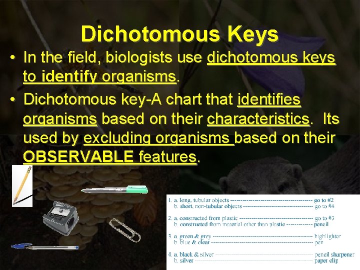 Dichotomous Keys • In the field, biologists use dichotomous keys to identify organisms. •