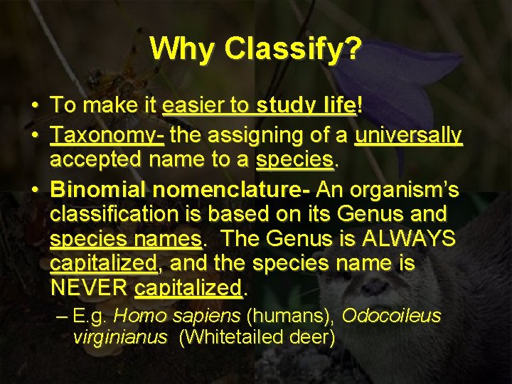 Why Classify? • To make it easier to study life! • Taxonomy- the assigning
