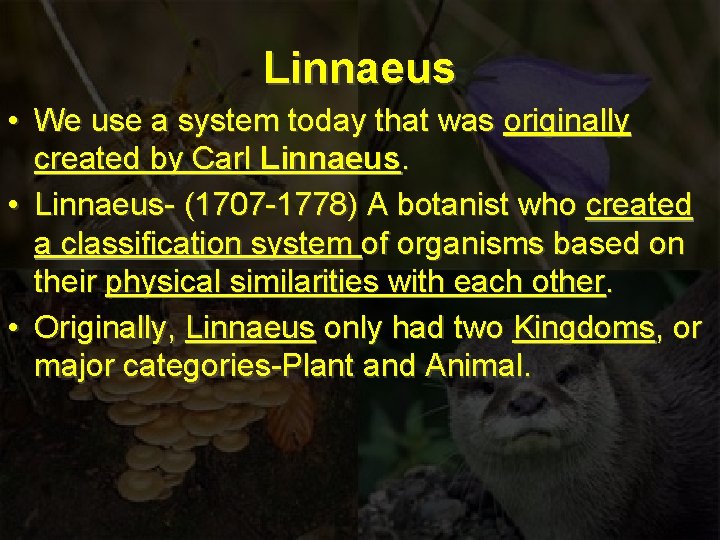 Linnaeus • We use a system today that was originally created by Carl Linnaeus.