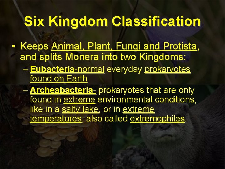 Six Kingdom Classification • Keeps Animal, Plant, Fungi and Protista, and splits Monera into