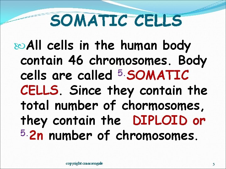 SOMATIC CELLS All cells in the human body contain 46 chromosomes. Body cells are