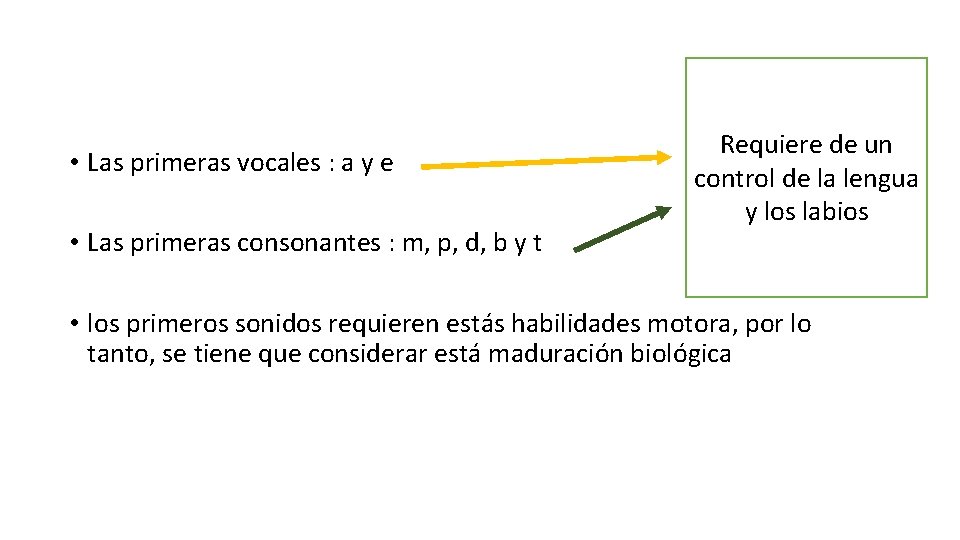  • Las primeras vocales : a y e • Las primeras consonantes :