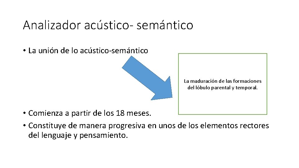 Analizador acústico- semántico • La unión de lo acústico-semántico La maduración de las formaciones