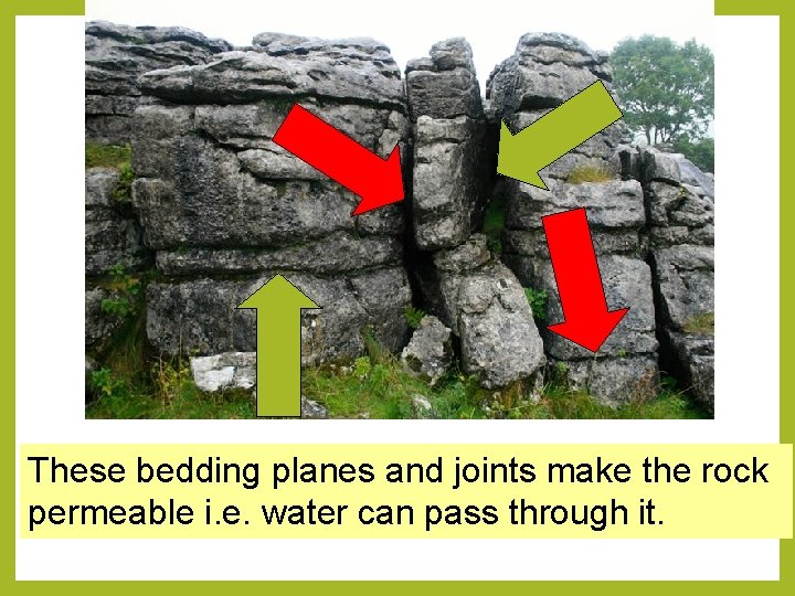 Limestone These bedding planes and joints make the rock permeable i. e. water can