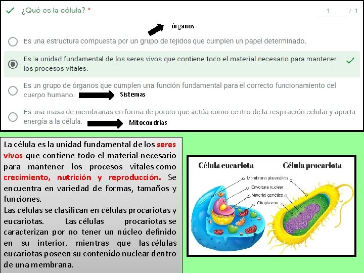 órganos Sistemas Mitocondrias La célula es la unidad fundamental de los seres vivos que