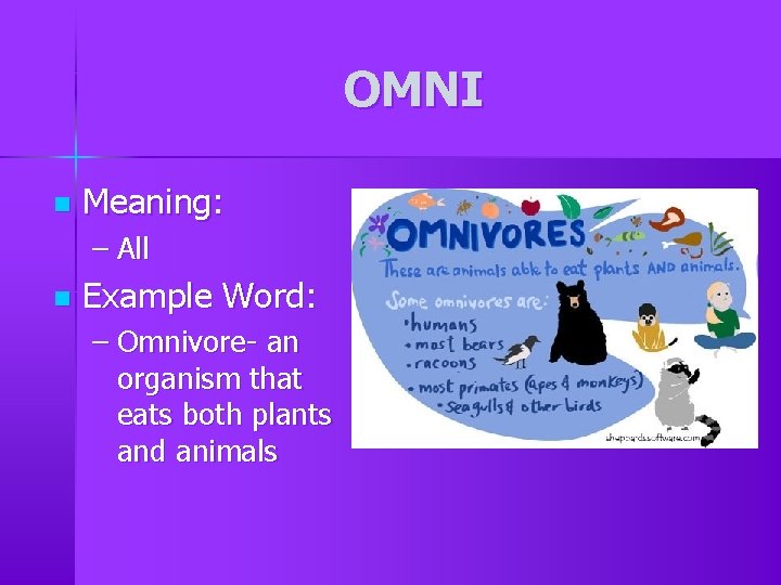 OMNI n Meaning: – All n Example Word: – Omnivore- an organism that eats OMNI n Meaning: – All n Example Word: – Omnivore- an organism that eats